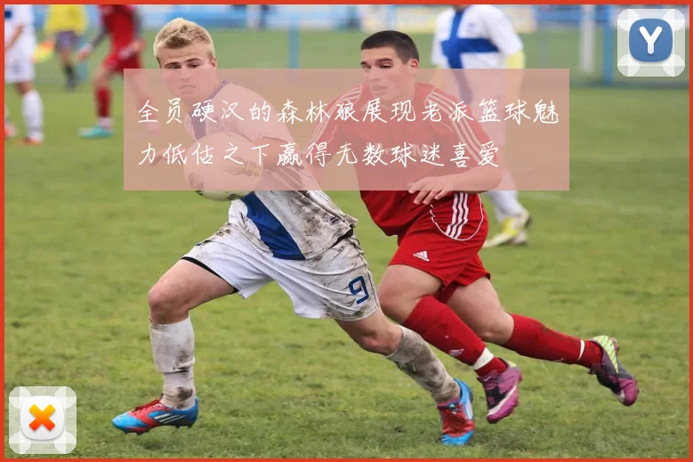 全员硬汉的森林狼展现老派篮球魅力低估之下赢得无数球迷喜爱